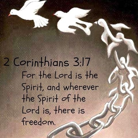 IMG_20231112_083803_791