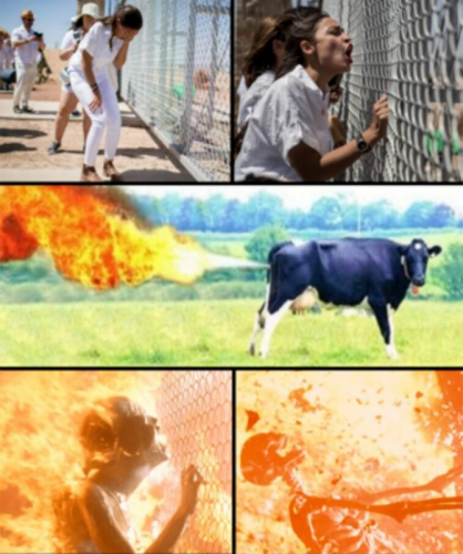 M AOC cow fart