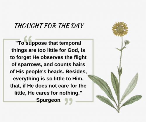 TWEET 11-11-23