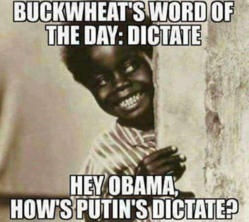 RO dictate