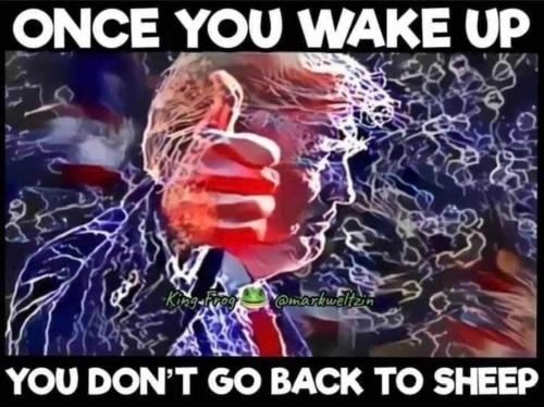 USA wake up