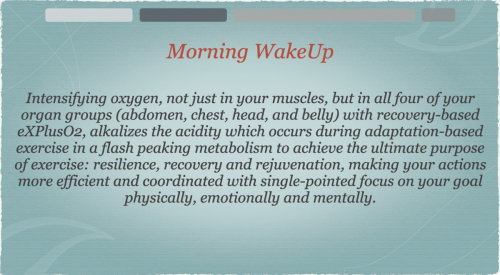 Screen Shot 2023-11-28 at 9.52.47 AM