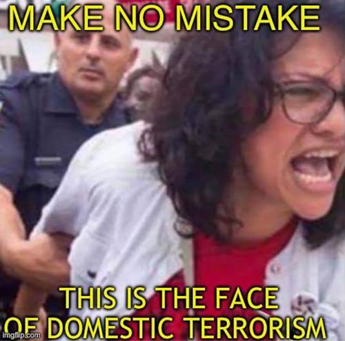M domestic terrorism