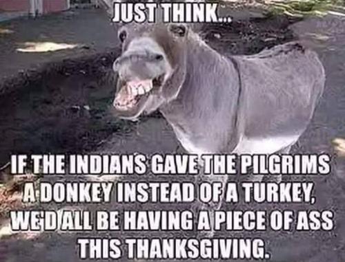Thanksgiving - Piece of ass