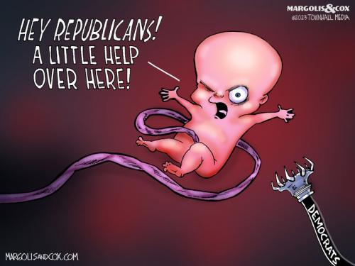 MC_Abortion_web-800x0