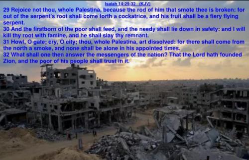 Isaiah 14.29