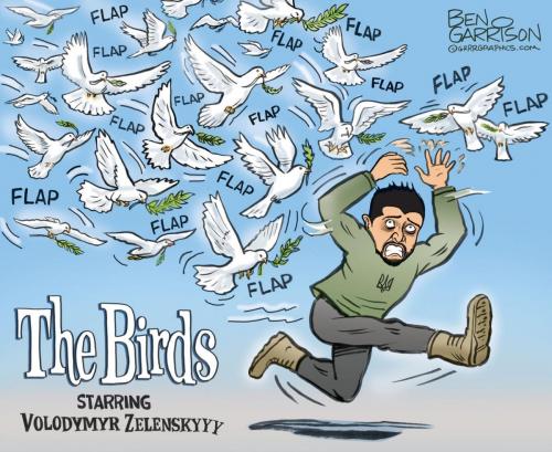 11-15-23 Birds