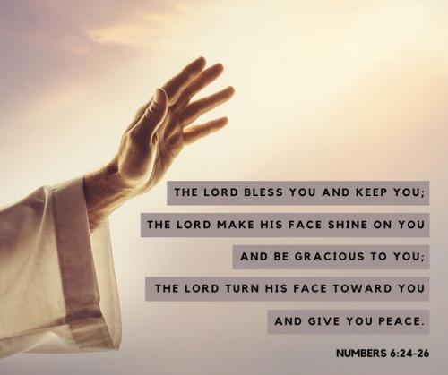 IMG_20231125_083102_728