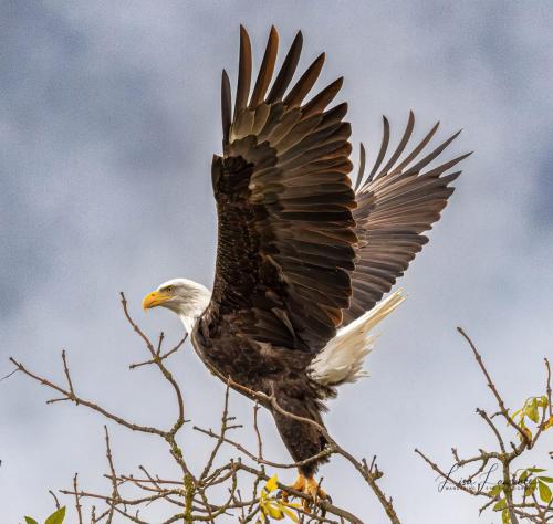 401833867_749139420563750_6716930052093729392_n