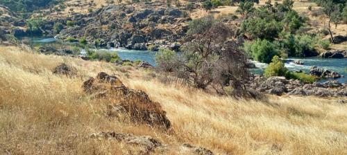 river_1