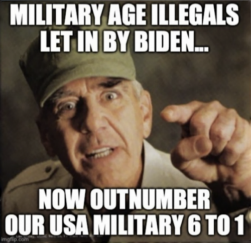 RO military aged illegals
