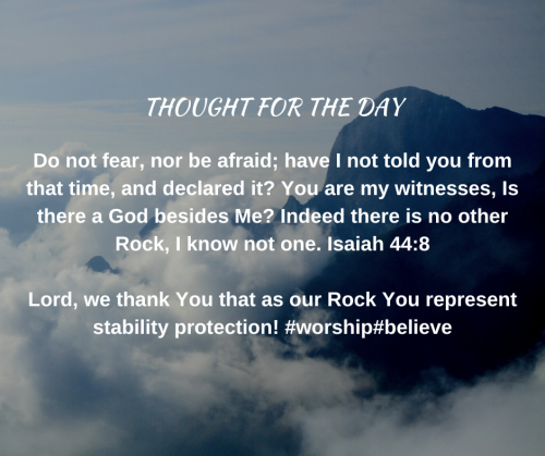 TWEET 11-28-23