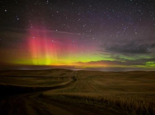m mccoy sep 20.north of pullman