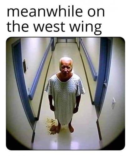 402927727_732979005529210_4909286040106572945_n
