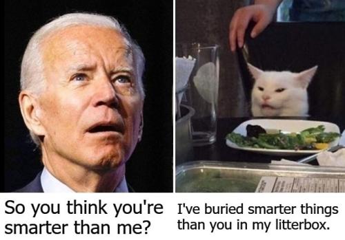 So you think you're smarter than me biden and cat