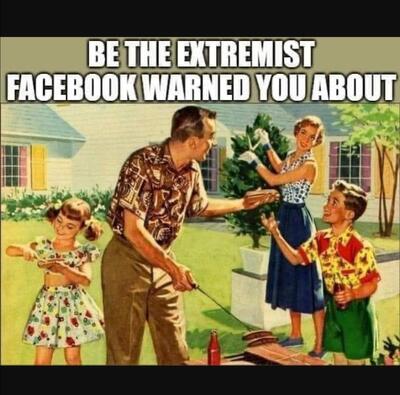 Facebook, Factcheckers, Republican, Conservative, Constitutional, Moral Majority, Family Man -- Extreme Domestic Terrorists