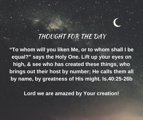 TWEET 11-13-23