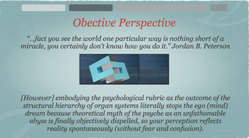 Screen Shot 2023-11-07 at 2.43.41 PM