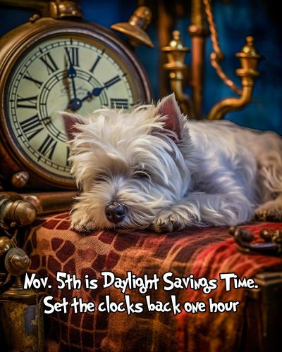 399339740_10230810021411119_8891558918104929088_n