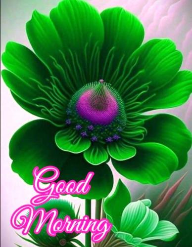113023 - green & pink GM