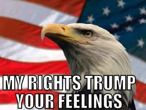 USA My rights