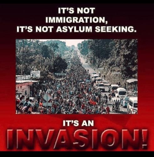 f53ff926c03763946df7a59a9591d457