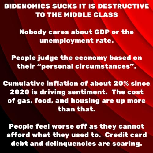 RO Bidenomics