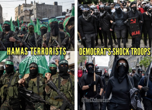 M Hamas Democrats