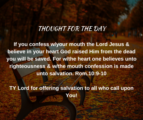 TWEET 11-29-23