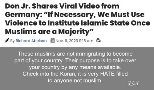 Islam State violence