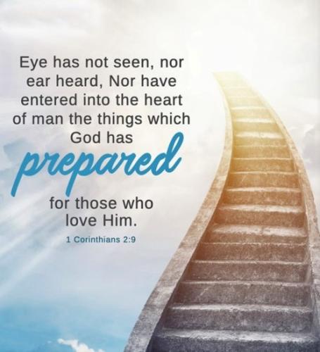 IMG_20231117_081107_404