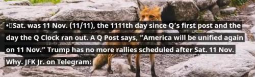 Screenshot_20231110-055950_Chrome