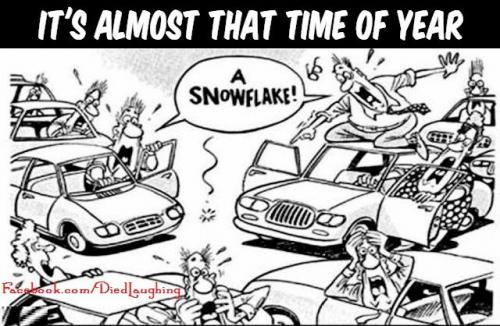 a+big+sees+a+snowflake