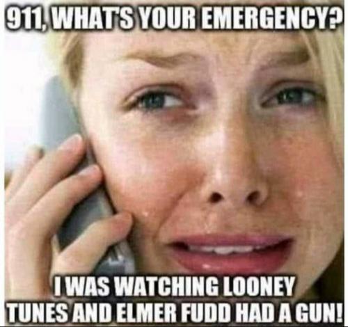 1e00db63dfb0b253