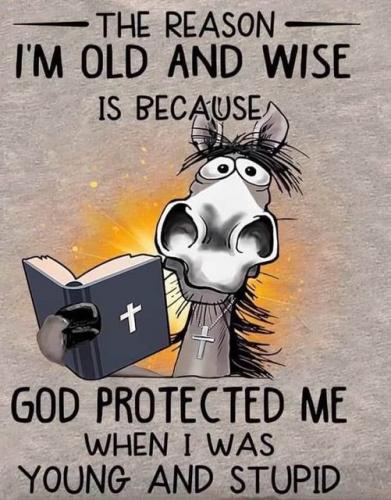 Wise