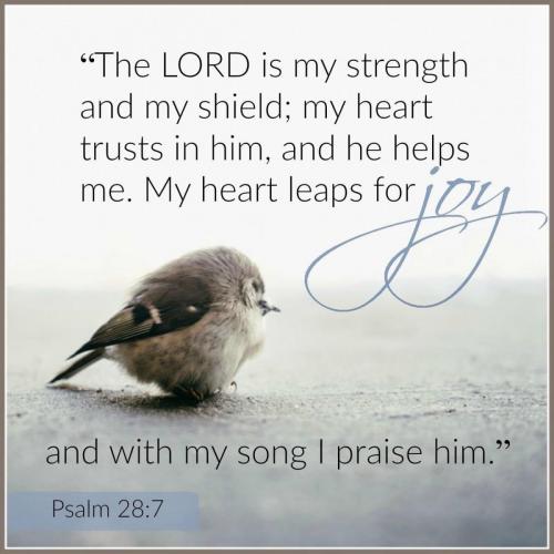 IMG_20231218_084224_998