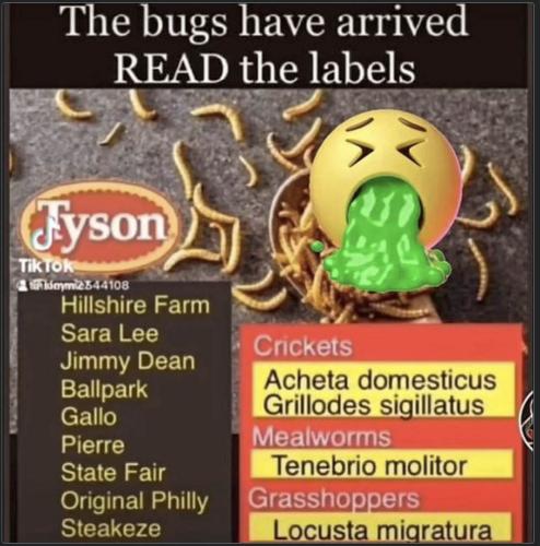 bugs are here