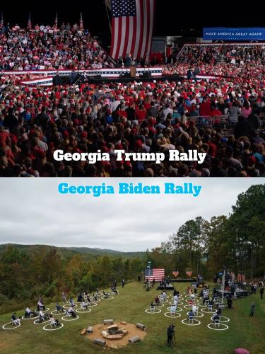 Wingnut Left Actually Expect us to Believe Biden won750px