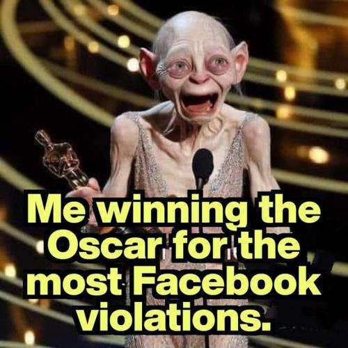 414938500_751251923703238_7455495114947387782_n