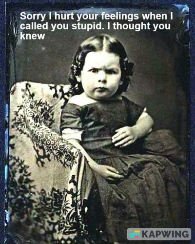 M called you stupid