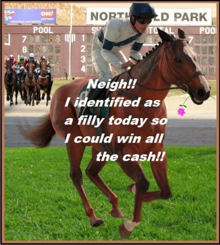 NO COLT IS A FILLY