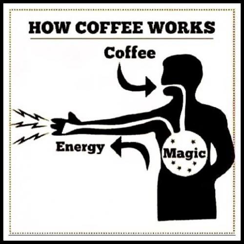 15267554_1515705971778937_9109106005768193787_n