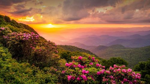 Blue Ridge Mountains, United States