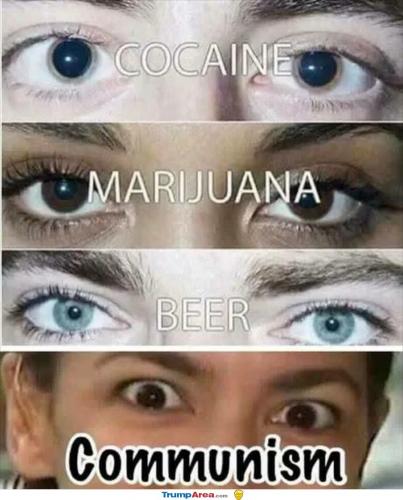 commies3384