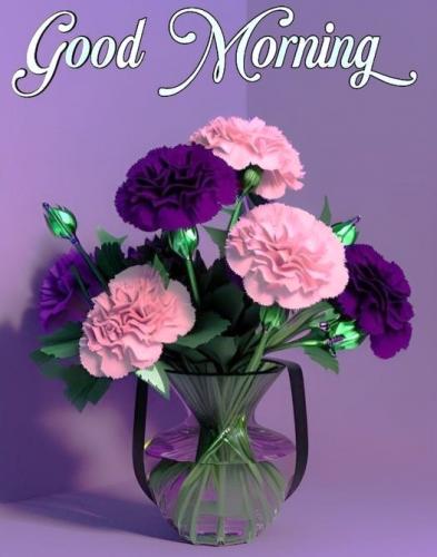 120523 - GM Purple & pink flwrs
