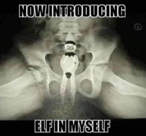 Elf on a shelf - Elf in myself