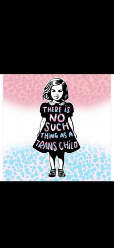 33bcdf9831597600da5a8ea9bc494873