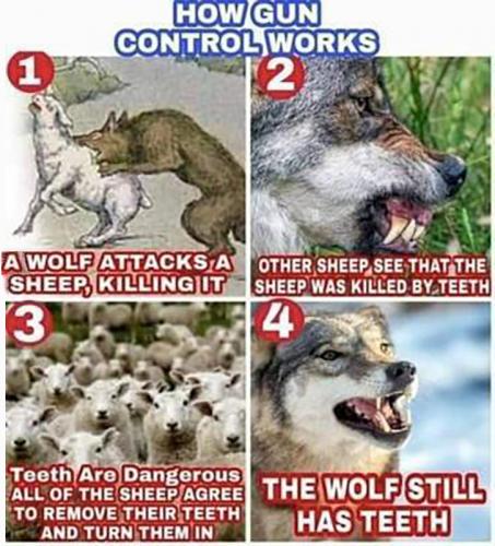 RO gun control