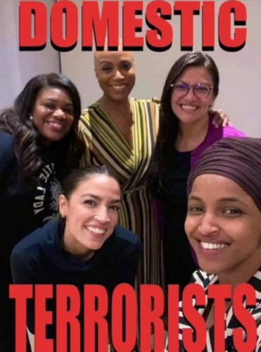 X domestic terrorists