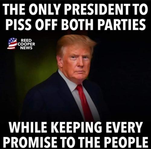 M only President